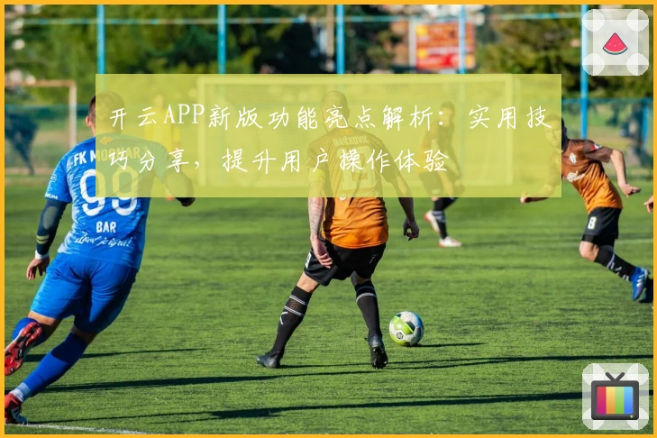 开云APP新版功能亮点解析：实用技巧分享，提升用户操作体验