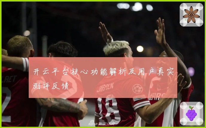 开云平台核心功能解析及用户真实测评反馈