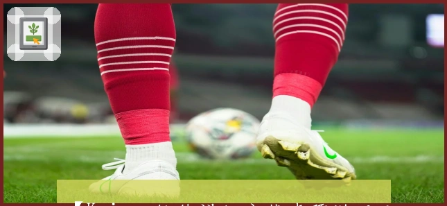 【Kaiyun软件详细安装步骤说明及全方位使用技巧分享】